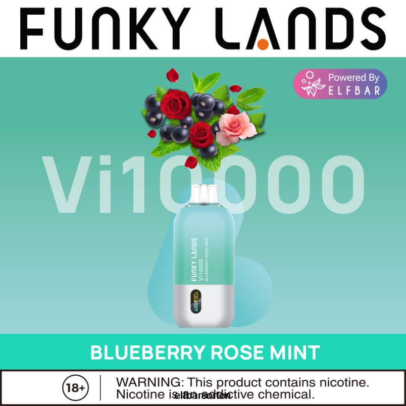 ELFBAR Funky Lands Einweg-Vape VI10000 Züge Blaubeer-Rosen-Minze B228H163 - ELFBAR Nachfullbar Osterreich